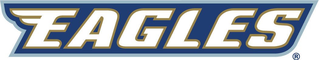 Georgia Southern Eagles 2004-Pres Wordmark Logo diy fabric transfer